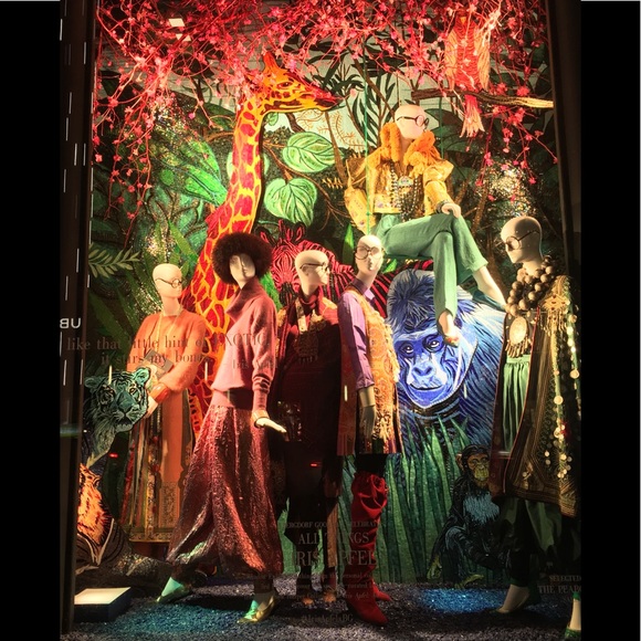 Meet your Posher, Dee - Picture 8 of 8